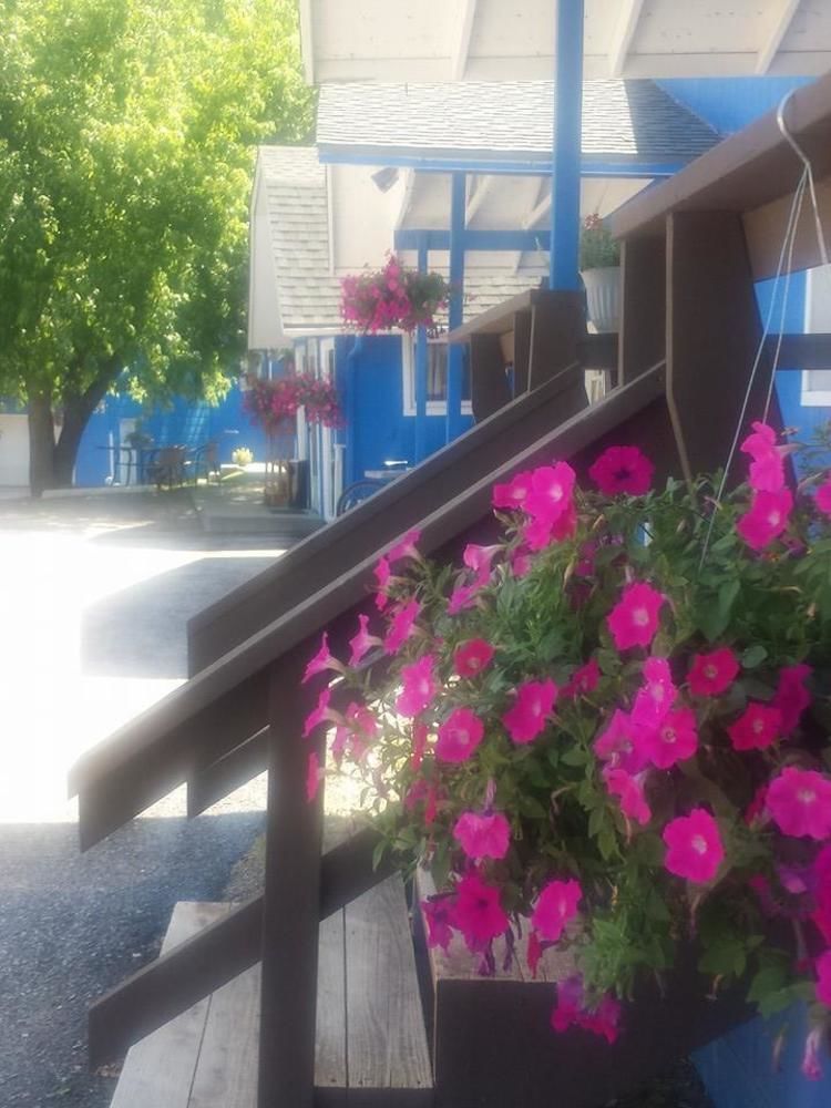 The Brookside Motel / Mt. Rushmore Кистон Экстерьер фото